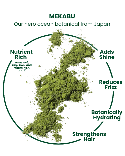 MASAMI haircare ingredient benefits graphic